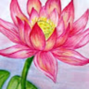 Meet your Posher, Sophia